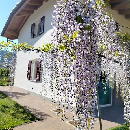 Agritur Lavanda Nave San Rocco Экстерьер фото
