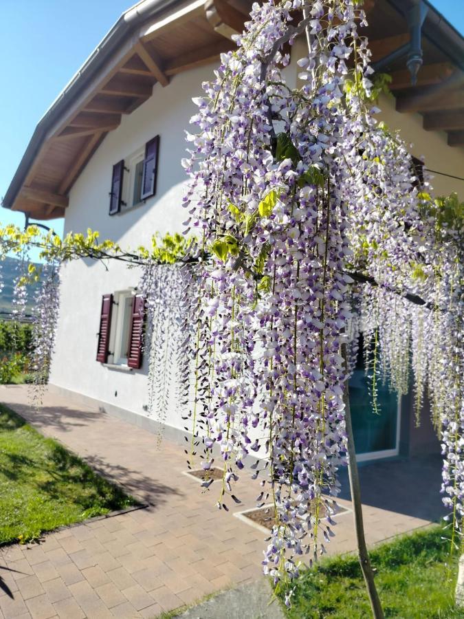 Agritur Lavanda Nave San Rocco Экстерьер фото